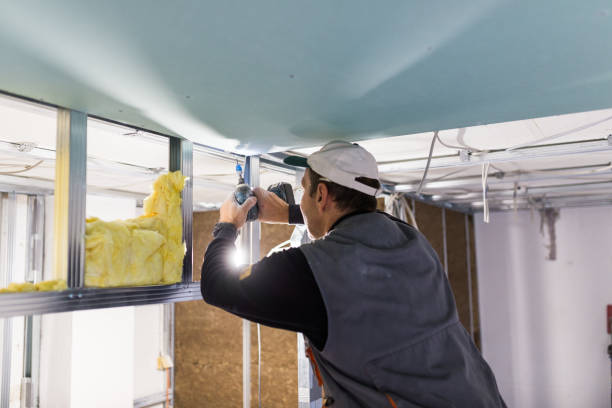 Best Energy-efficient Insulation  in Peach Lake, NY