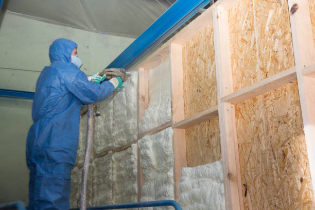 Best Insulation for New Construction  in Peach Lake, NY